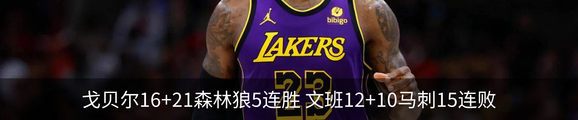 新闻动态