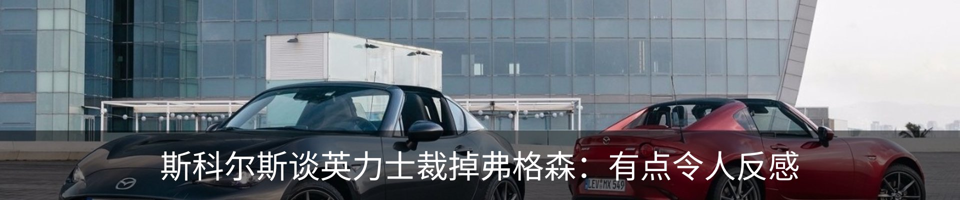 新闻动态