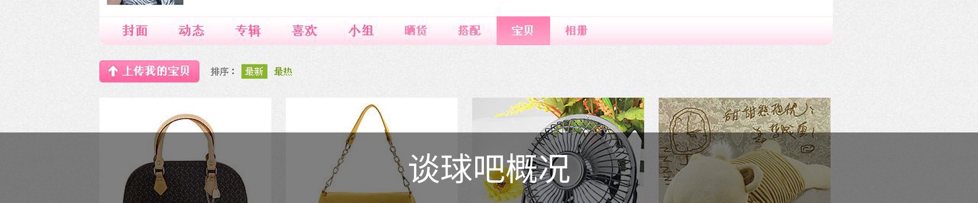 谈球吧概况